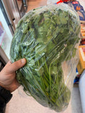 Fresh Corriander